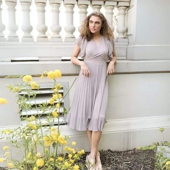 NWT Ivy City Ethereal Pale Pink Plum Alice Pleated Midi Dress - Picture 1 of 1